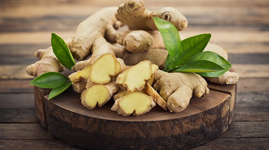 GInger